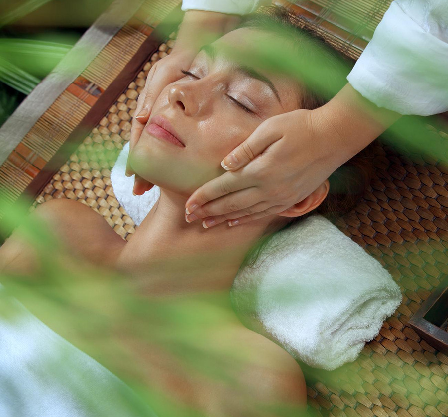 Ayurvedic Treatments